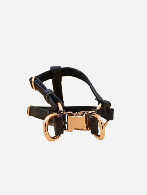 Anatomical Correct Piñatex® Vegan Leather Dog Harness | Black Paradise