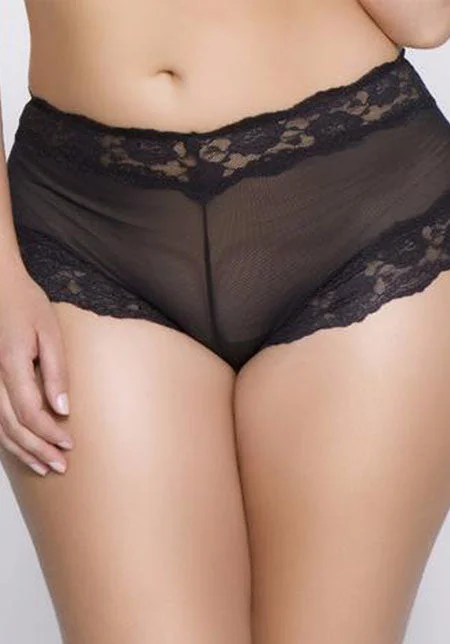 Kelly Sheer Mesh Boyleg Brief Black