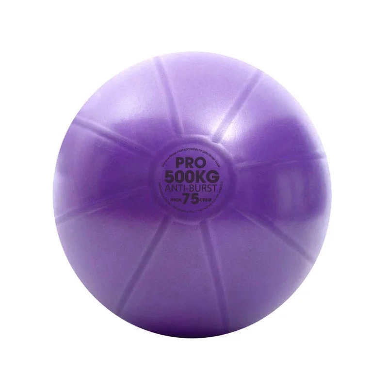 Fitness Mad Studio Pro 500kg Anti Burst Swiss Ball with Pump